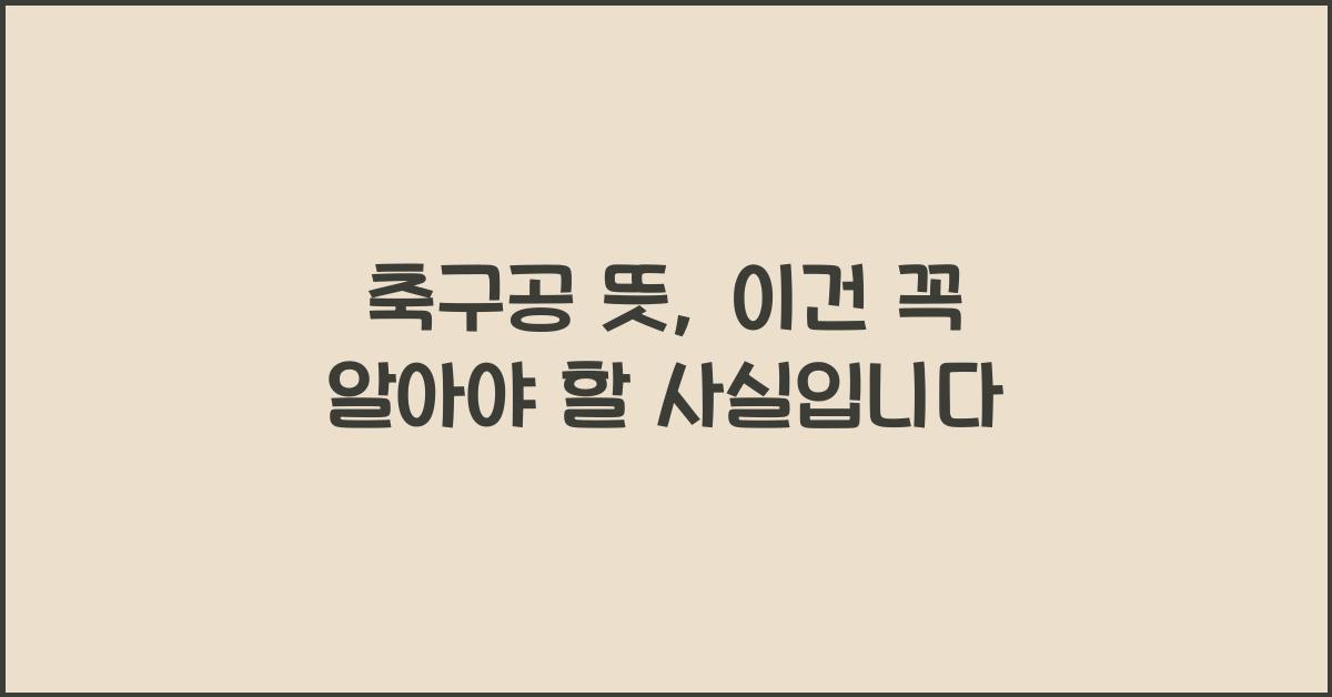 축구공 뜻