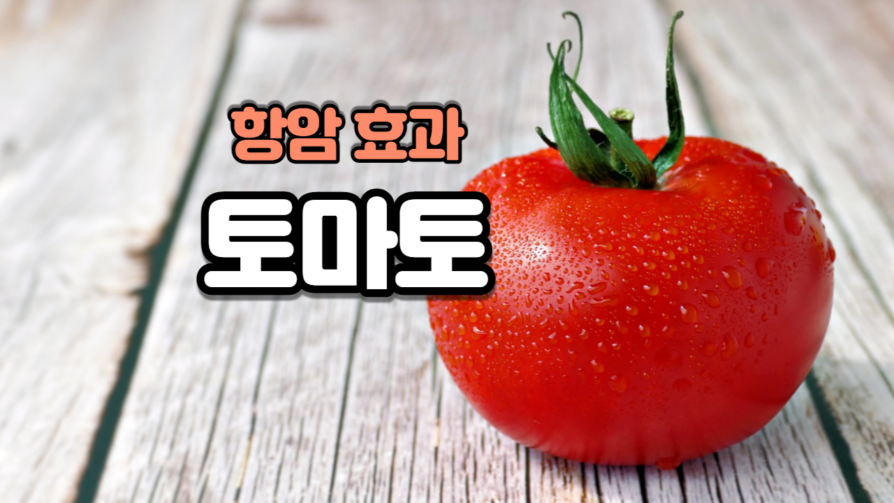  토마토