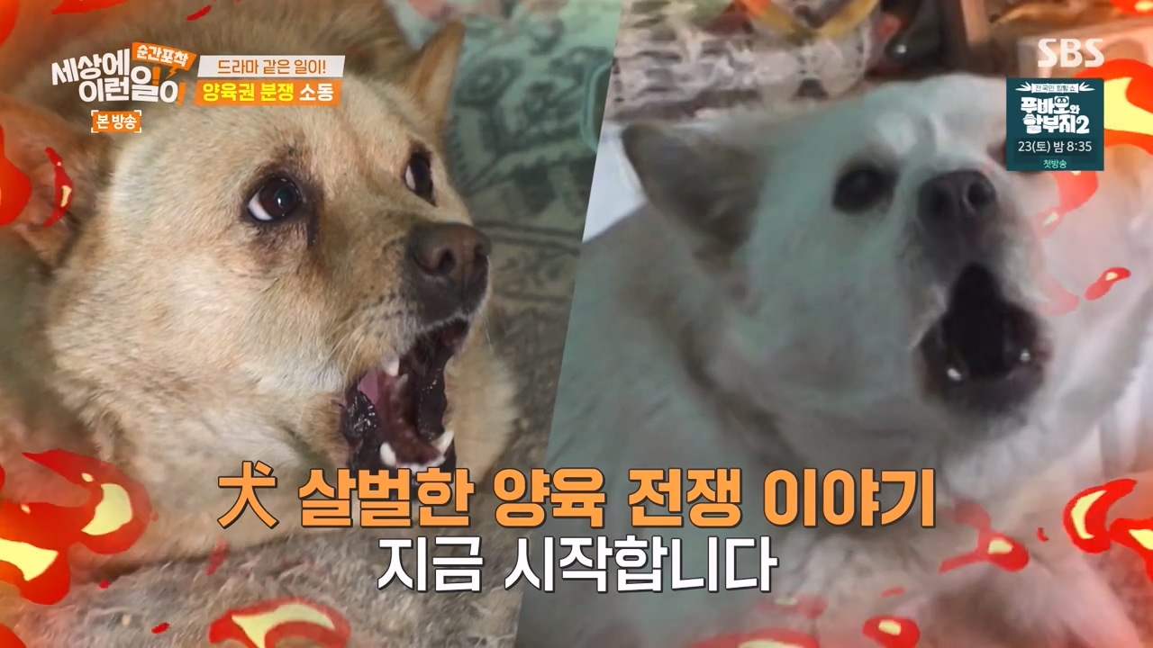 순간포착 세상에 이런일이.E1269.240317p-NEXT.mp4_20240317_160902.985.jpg