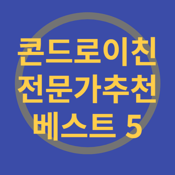 콘드로이친 전문가추천