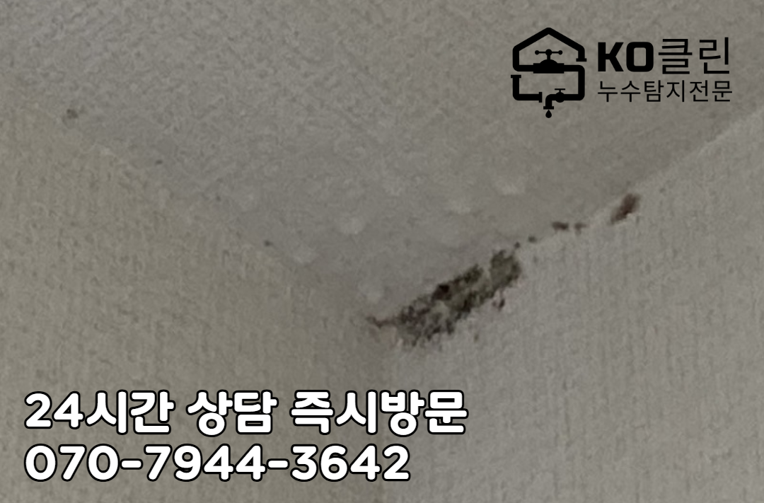 겨울철 결로 누수 해결4