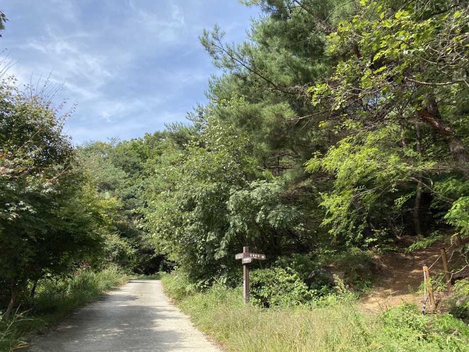 홍길동이 다녀간 31