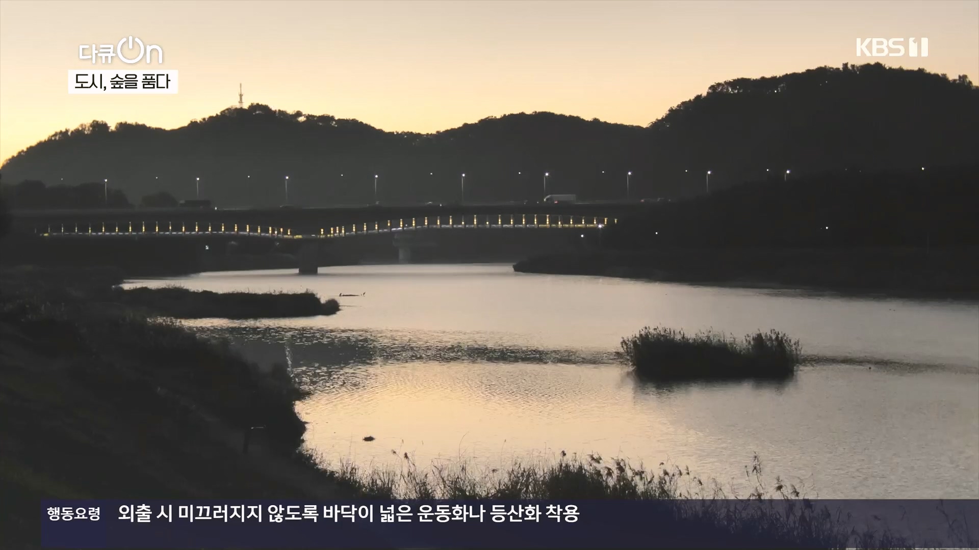 다큐 On.E232.231216p.H264-F1RST.mp4_20231220_212234.478.jpg