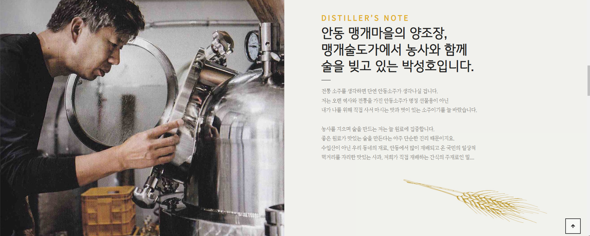 맹개술도가
