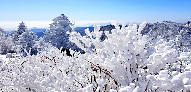 지리산 설경 상고대
