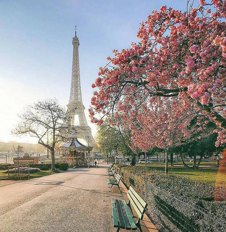 트로카데로-정원-봄꽃-에펠탑-인스타-사진
