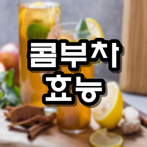  콤부차 효능