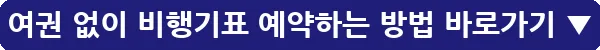 여권 없이 비행기표 예약하는 방법_8