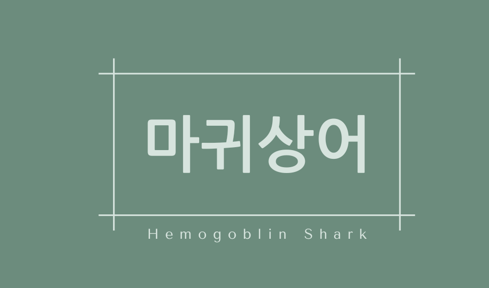 마귀상어(Hemogoblin Shark)