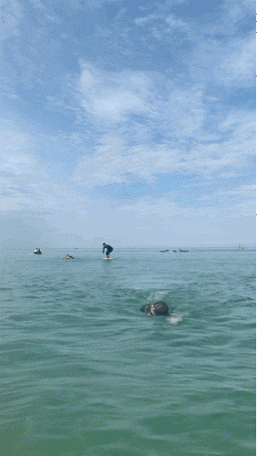 죽도해변이본느비 16