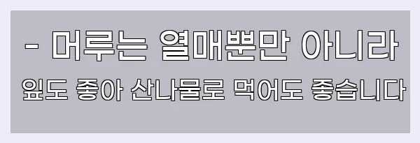  - 머루는 열매뿐만 아니라 잎도 좋아 산나물로 먹어도 좋습니다