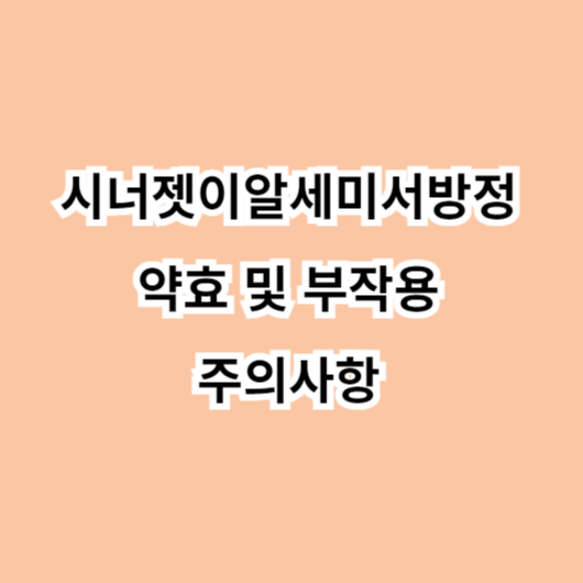 시너젯이알세미서방정 약효