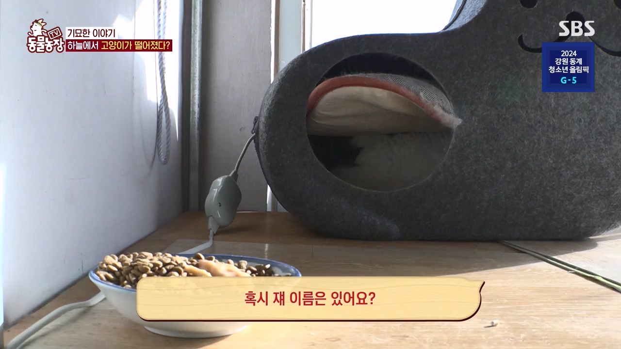 TV 동물농장.E1154.240115p-NEXT.mp4_20240114_184346.899.jpg