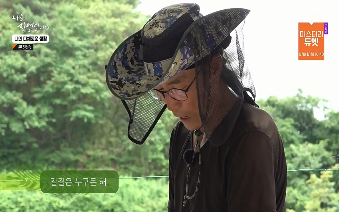 나는 자연인이다.E513.220804p-NEXT.mp4_20220804_201957.242.jpg