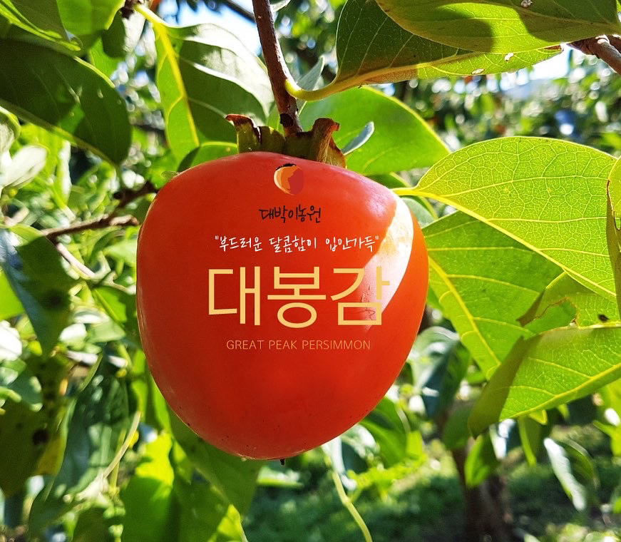 대박농원 이미지