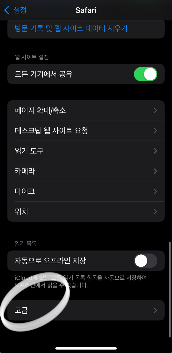 아이폰-사파리-설정-고급