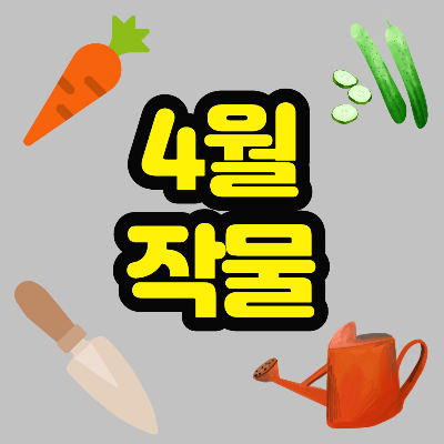  4월에 심는 작물, 파종 채소 리스트