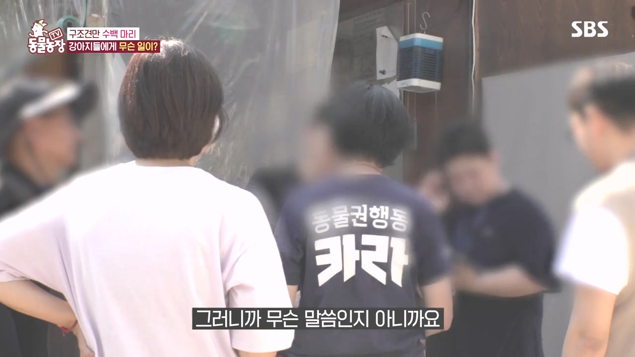 TV 동물농장.E1142.231023p-NEXT.mp4_20231022_171857.158.jpg