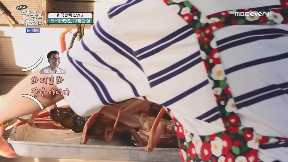 어서와 한국은 처음이지.E269.230629p.WANNA.mp4_20230701_004540.559.jpg