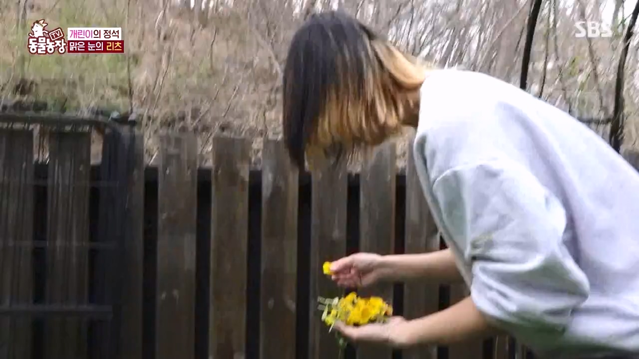 TV 동물농장.E1173.240527p-NEXT.mp4_20240526_155711.587.jpg