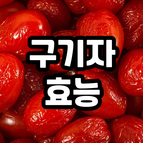  구기자 효능과 부작용