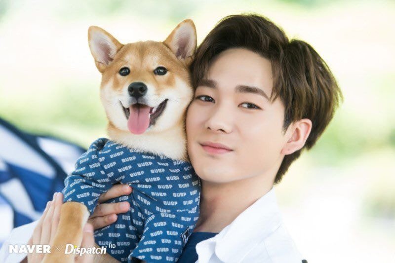  뉴이스트 아론 인스타 (강아지별로 떠난 반려견 노아 소식)
