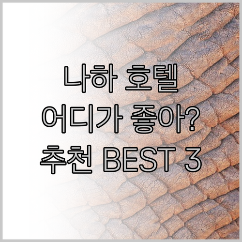오키나와 나하 호텔 추천 콜렉티브, 