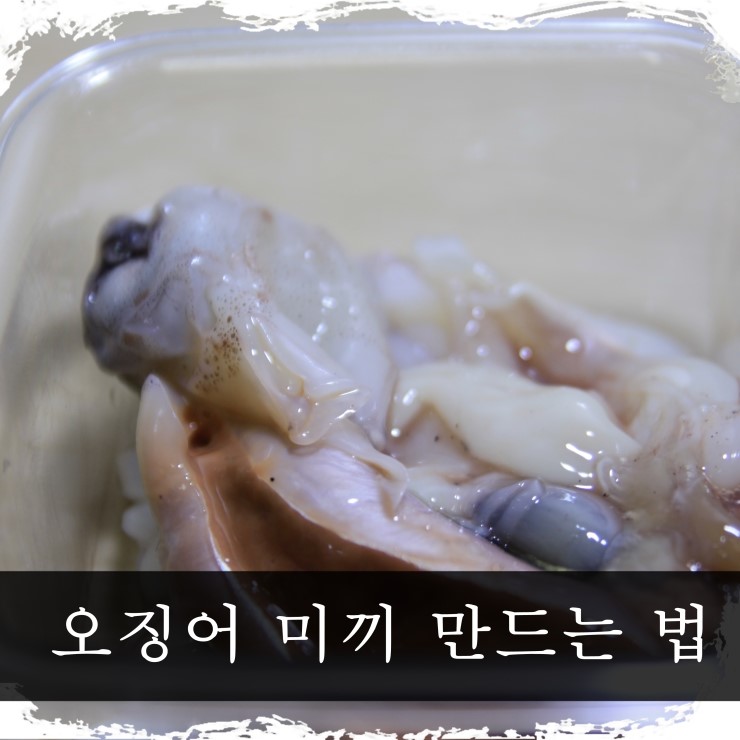  바다 원투 낚시 자작채비 어울리는  오징어 미끼 만드는 법
