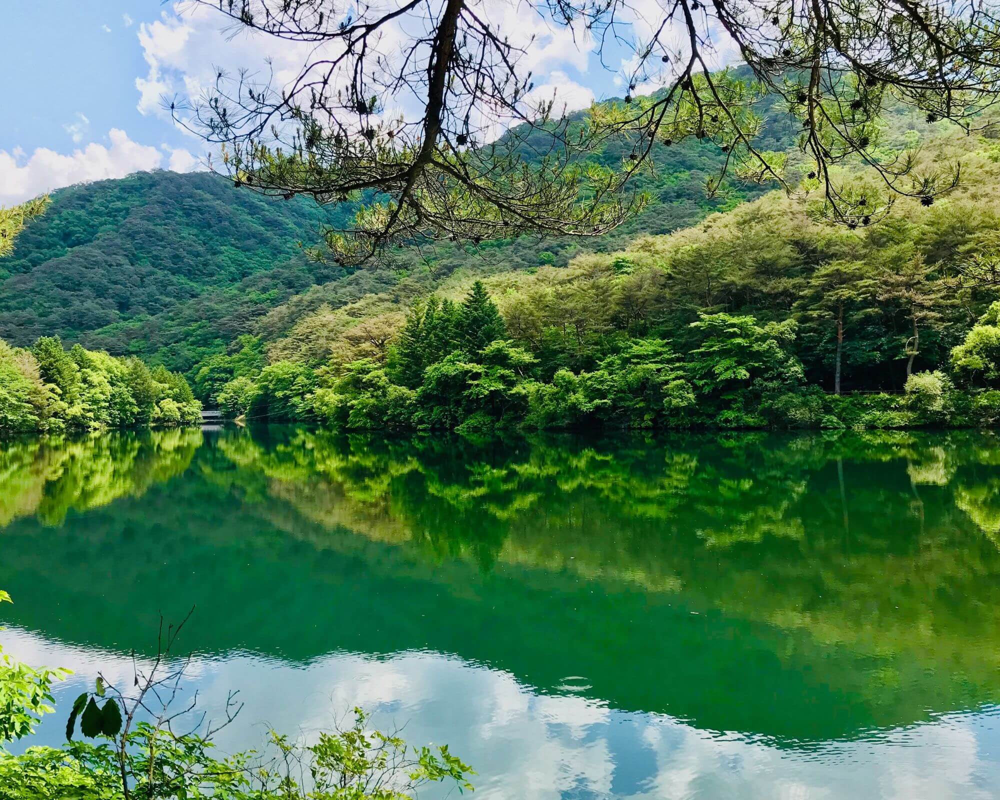 속리산 세조길