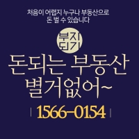  부동산 정보 [ 8월 25일/화 - 일일동향보고]
