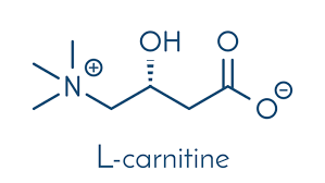 L - 카르니틴