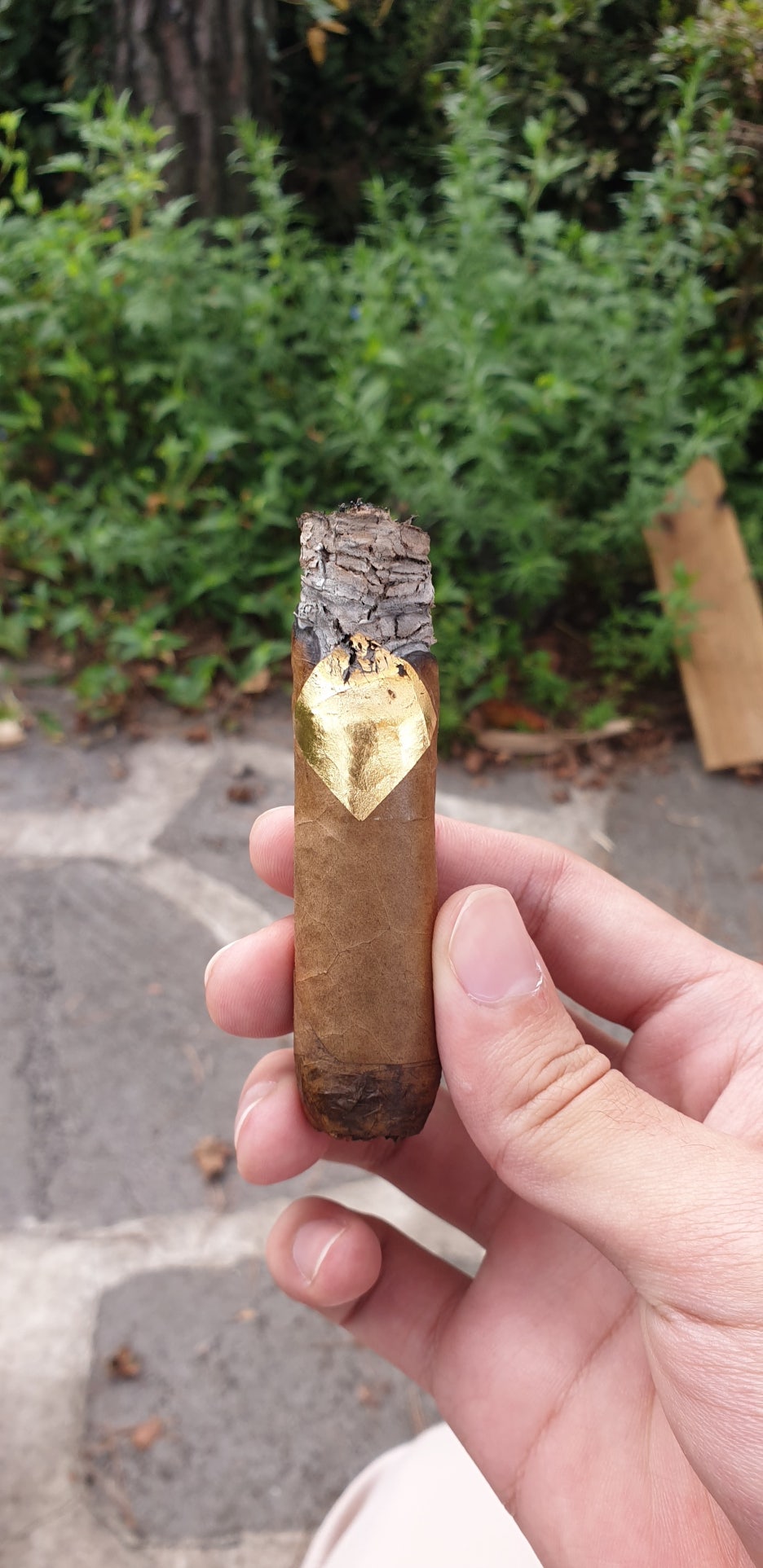 토로(TORO) 이미지