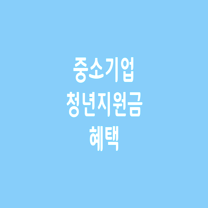  중소기업 청년지원금 혜택