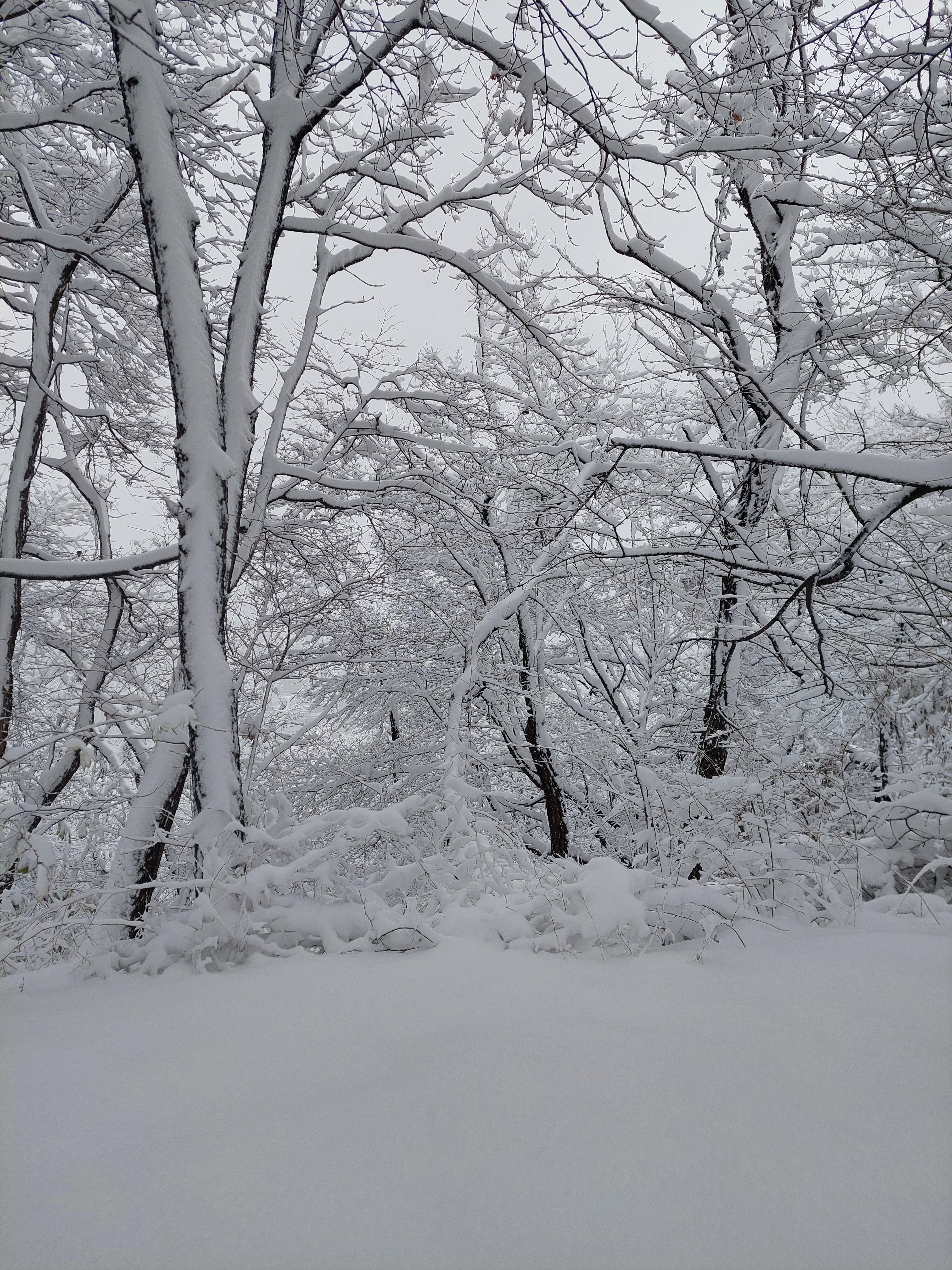 백련산안산