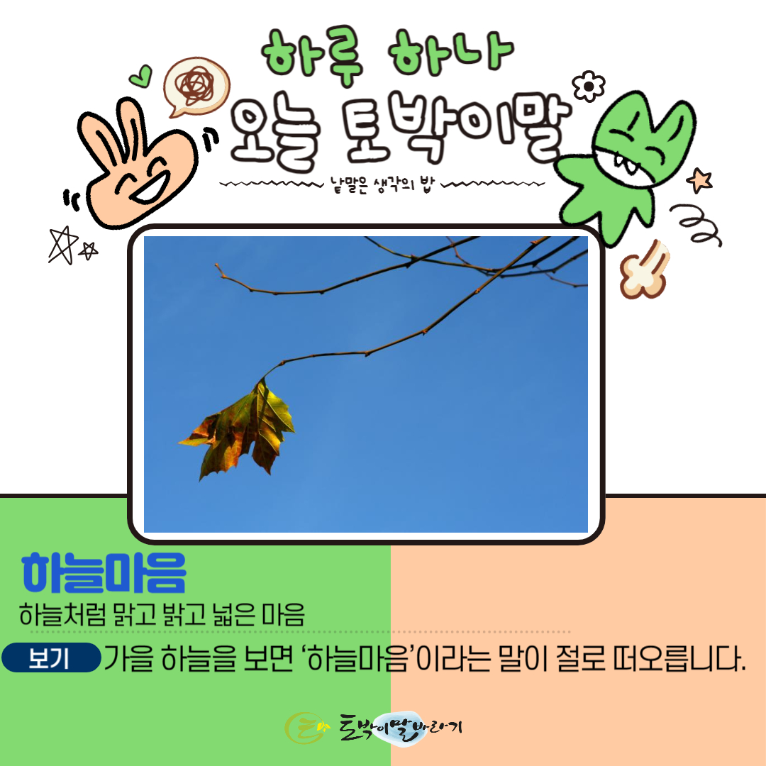 하늘오늘 이미지