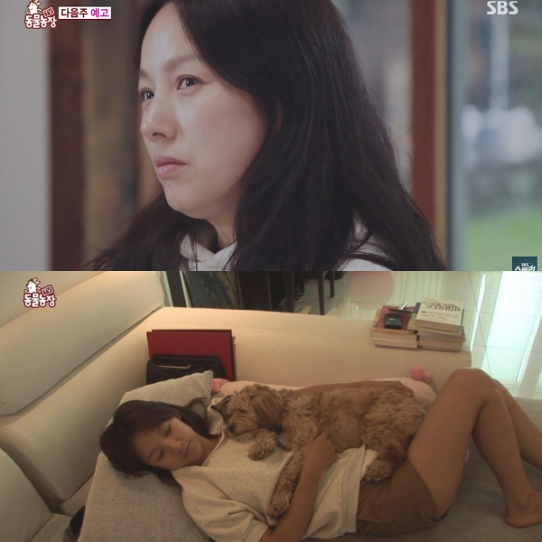  동물농장 이효리 순심이 첫만남 부터 이별까지 화제