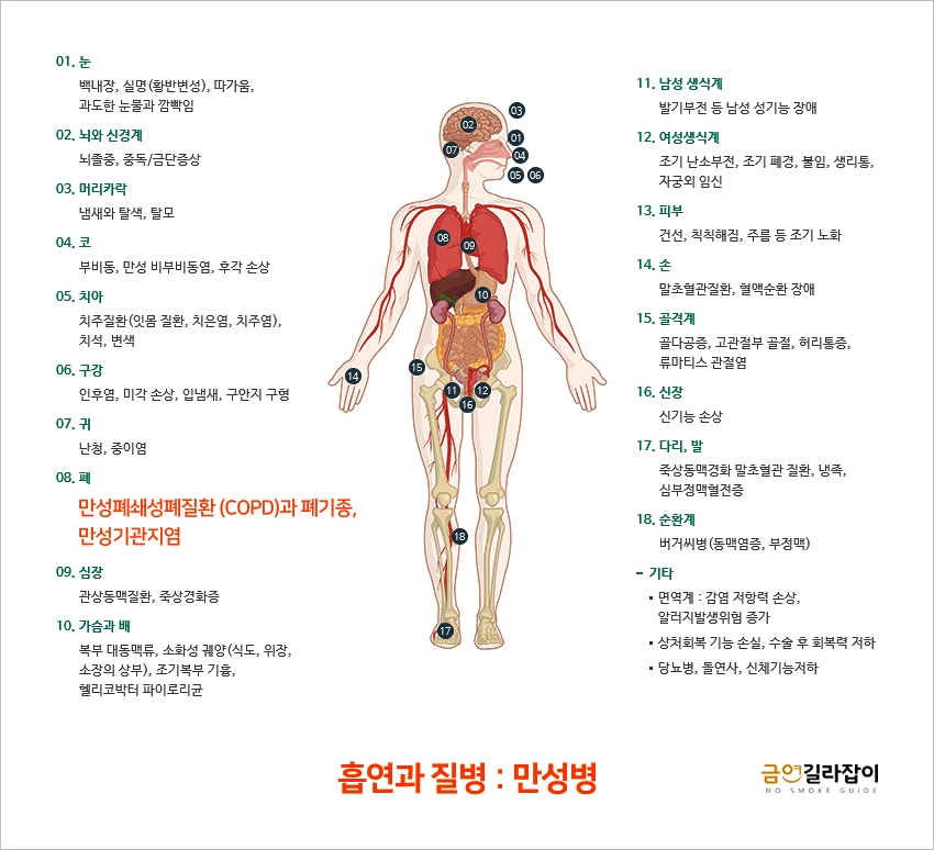 [흡연과 질병]