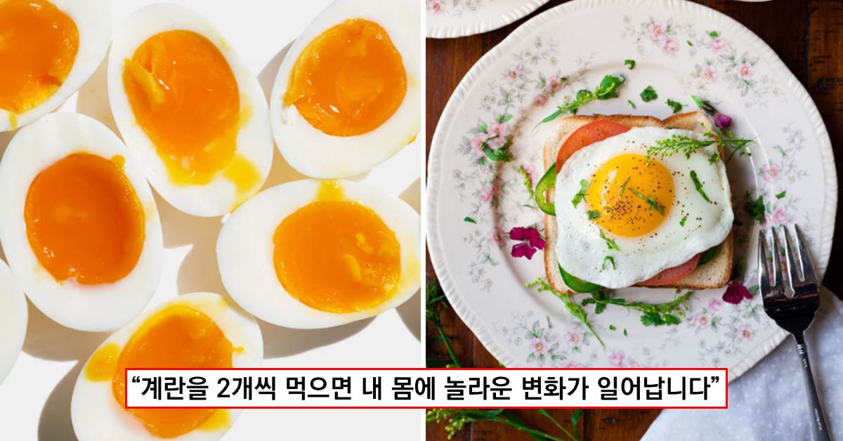 계란차 효능 비염에 좋은 음식, 달걀