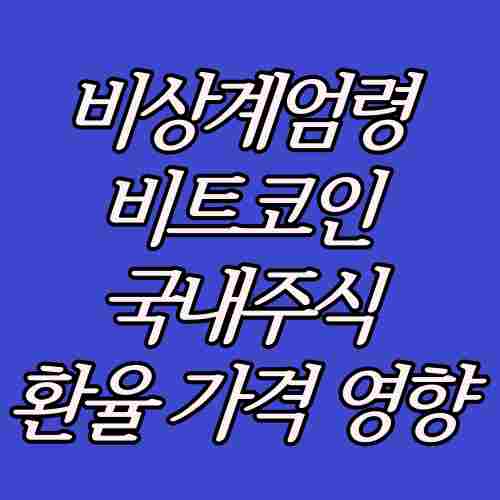 비상계엄령-비트코인-주식-환율-국내주식
