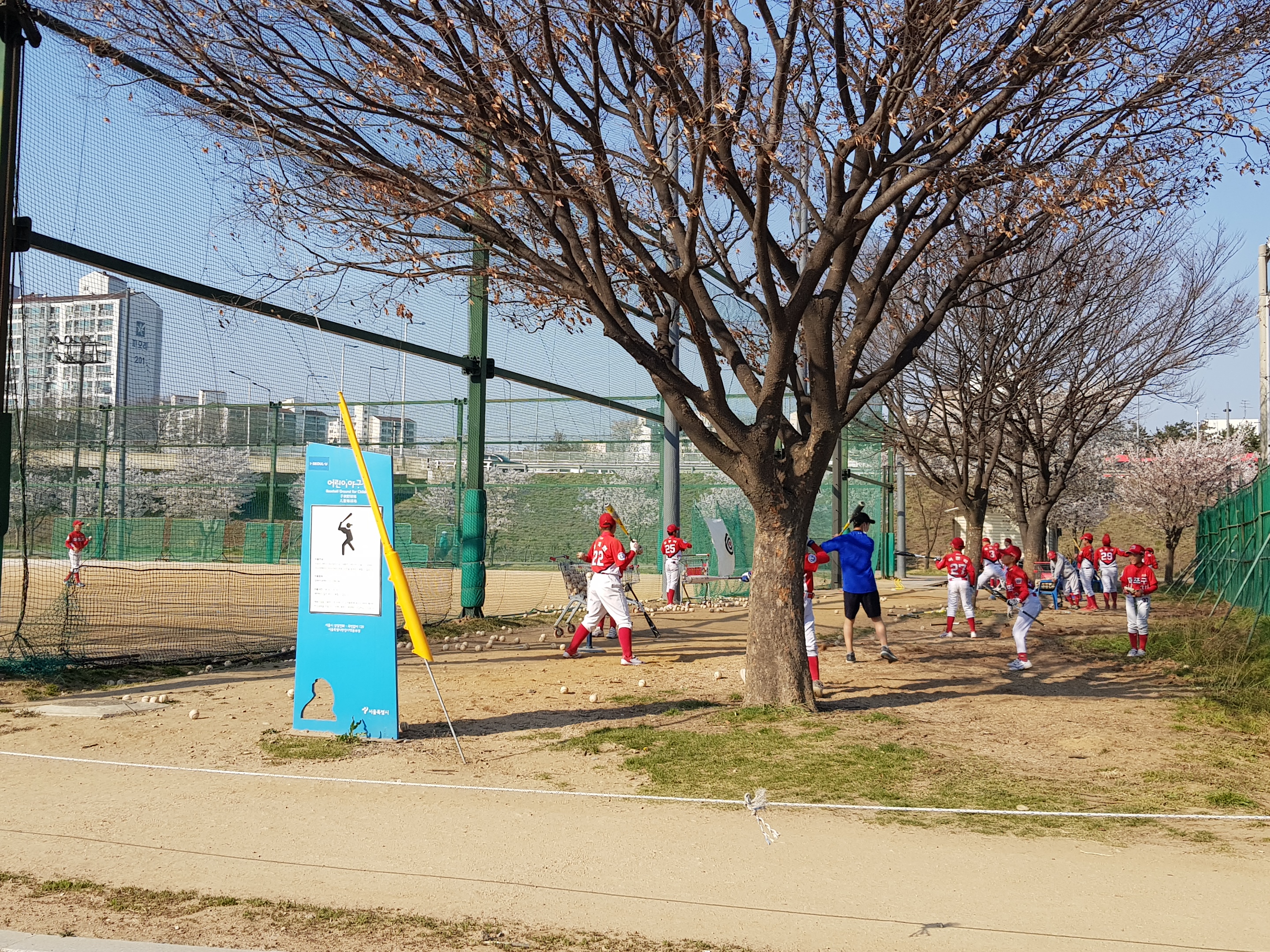 망원 한강공원 자전거