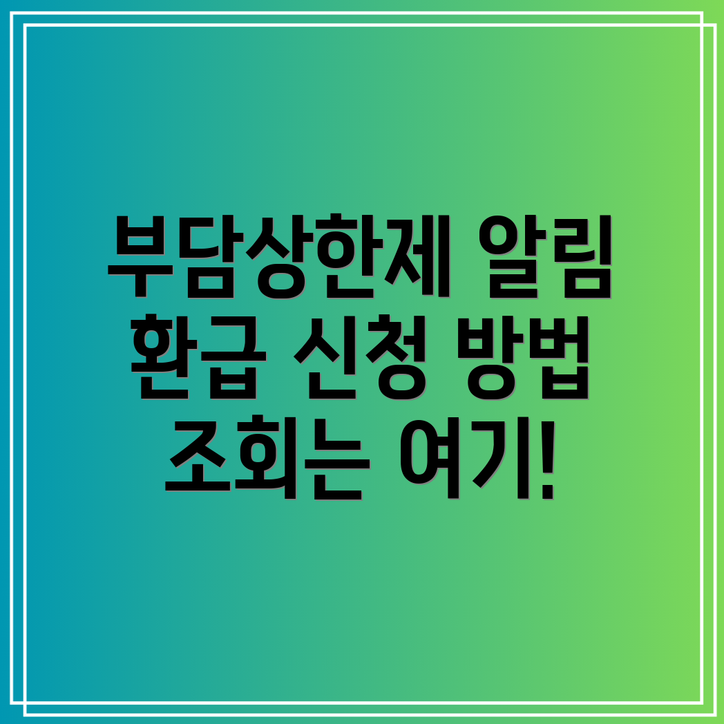 본인부담상한제 초과금 환급 신청방법과 지급시기 조회하기