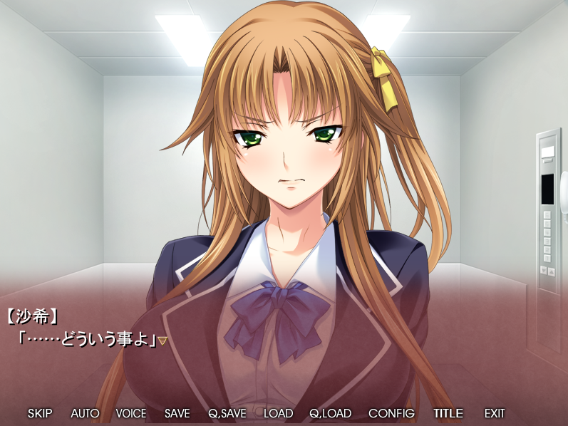  (게임 공략 - アトリエさくら DARKNESS) 密閉やりまくりエレベーター