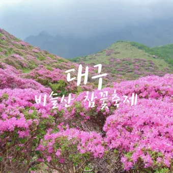 비슬산 참꽃축제 등산코스 맛집_16
