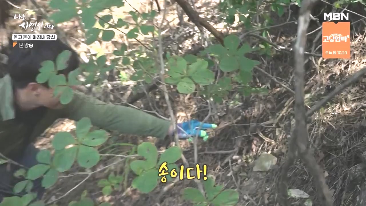 나는 자연인이다.E577.231026p-NEXT.mp4_20231026_200350.633.jpg