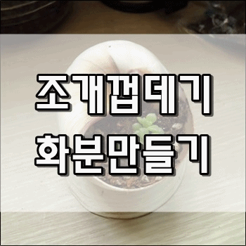 골뱅이 조개껍데기로 화분만들기