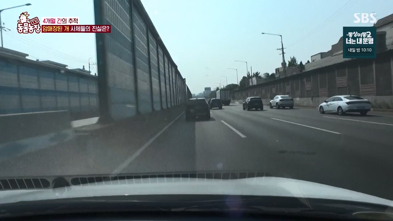 TV 동물농장.E1122.230529p-NEXT.mp4_20230528_170301.730.jpg