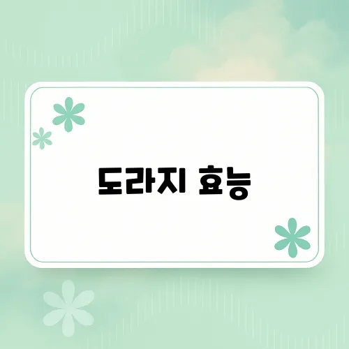 도라지 효능