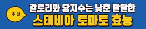 참외 칼로리