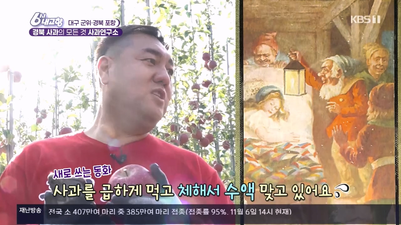 6시 내고향.E7907.231108p.H264-F1RST.mp4_20231108_204725.076.jpg