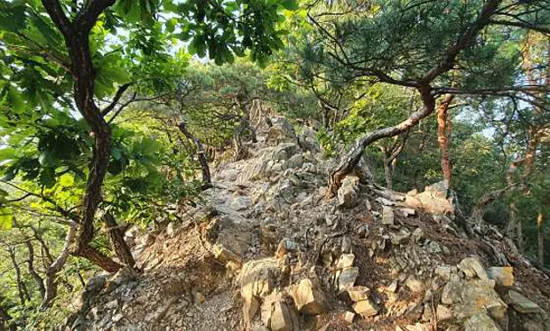 보납산